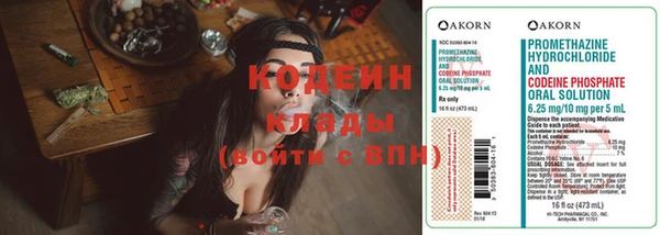 СК Абаза