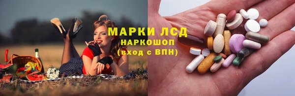 СК Абаза