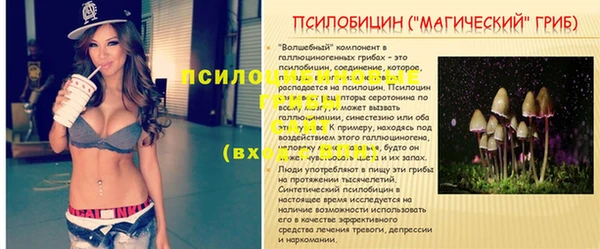 таблы Алзамай