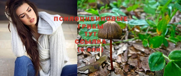 мет Абдулино