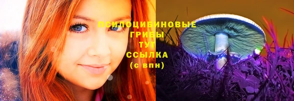таблы Алзамай