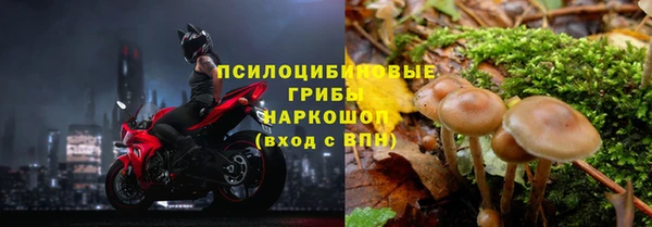 СК Абаза